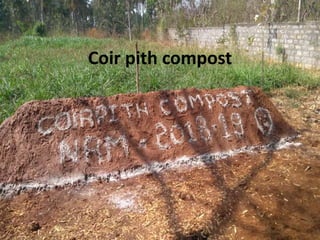 Coir pith compost
 