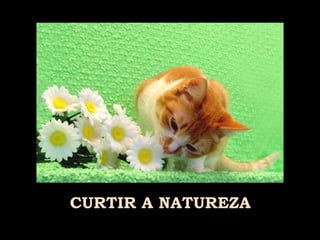 CURTIR A NATUREZA 