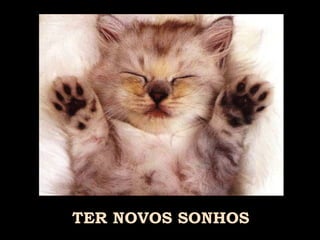 TER NOVOS SONHOS 