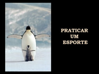 PRATICAR  UM  ESPORTE 