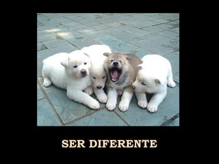 SER DIFERENTE 