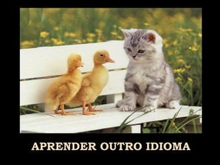 APRENDER   OUTRO IDIOMA 