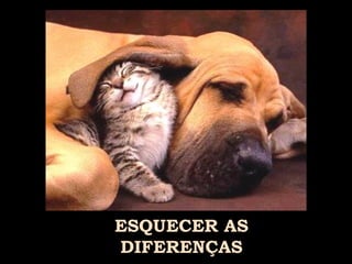 ESQUECER AS DIFERENÇAS 