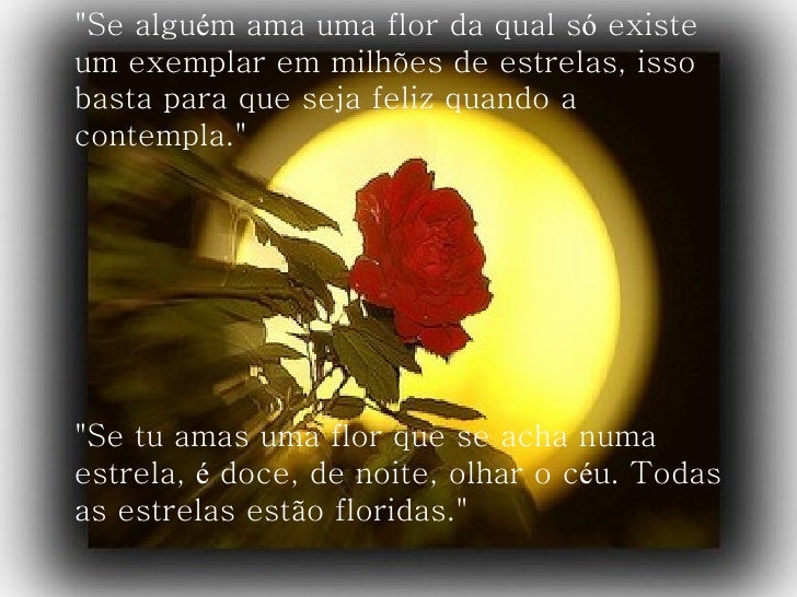 Resultado de imagem para flor da alma
