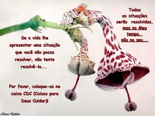 Se a vida lhe apresentar uma situação que você não possa resolver, não tente resolvê-la...  Por favor, coloque-as na caixa CDC (Coisas para Deus Cuidar)! Todas as situações serão  resolvidas,  mas no Meu tempo,  não no seu... 