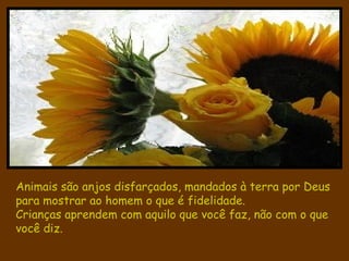 Animais são anjos disfarçados, mandados à terra por Deus para mostrar ao homem o que é fidelidade. Crianças aprendem com aquilo que você faz, não com o que você diz. 