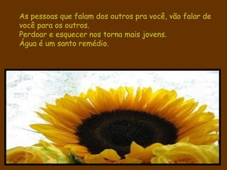 As pessoas que falam dos outros pra você, vão falar de você para os outros. Perdoar e esquecer nos torna mais jovens. Água é um santo remédio. 