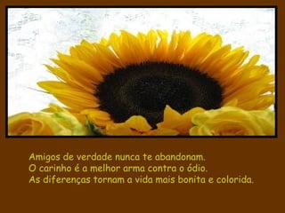Amigos de verdade nunca te abandonam. O carinho é a melhor arma contra o ódio. As diferenças tornam a vida mais bonita e colorida. 