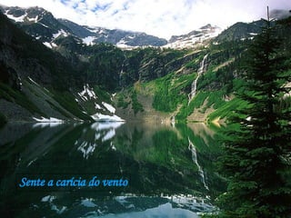 Sente a carícia do vento 