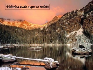 Valoriza tudo o que te rodeia 