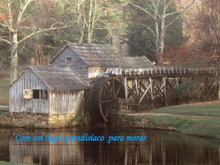 Com um lugar paradisíaco  para morar 