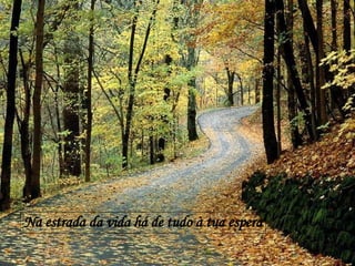 Na estrada da vida há de tudo à tua espera 