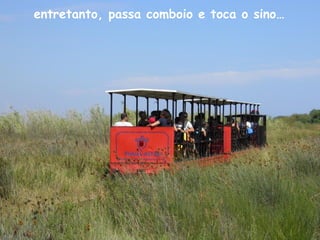 entretanto, passa comboio e toca o sino…
 