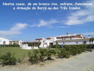 Nestas casas, de um branco vivo, outrora, funcionava
a Armação do Barril ou dos Três Irmãos,
 