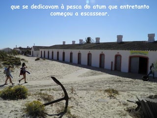 que se dedicavam à pesca do atum que entretanto
começou a escassear.
 