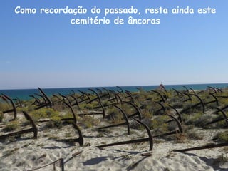 Como recordação do passado, resta ainda este
cemitério de âncoras
 