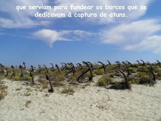 que serviam para fundear os barcos que se
dedicavam à captura de atuns.
 