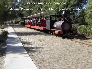 E regressamos de comboio.
Adeus Praia do Barril… Até à próxima visita.
 