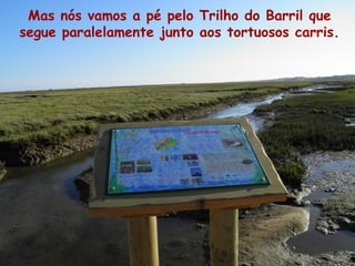 Mas nós vamos a pé pelo Trilho do Barril que
segue paralelamente junto aos tortuosos carris.
 