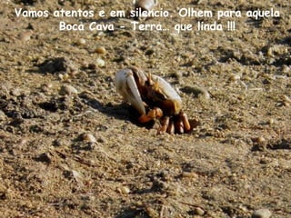 Vamos atentos e em silencio. Olhem para aquela
Boca Cava - Terra… que linda !!!
 