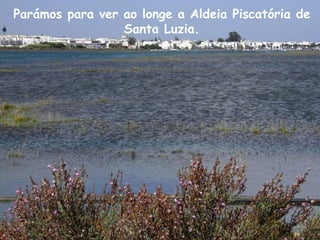 Parámos para ver ao longe a Aldeia Piscatória de
Santa Luzia.
 