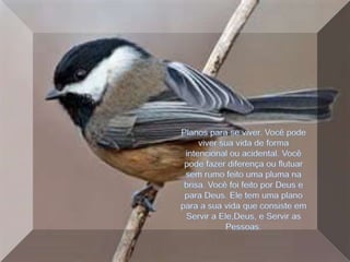 Planos para se viver. Você pode viver sua vida de forma intencional ou acidental. Você pode fazer diferença ou flutuar sem rumo feito uma pluma na brisa. Você foi feito por Deus e para Deus. Ele tem uma plano para a sua vida que consiste em Servir a Ele,Deus, e Servir as Pessoas. 