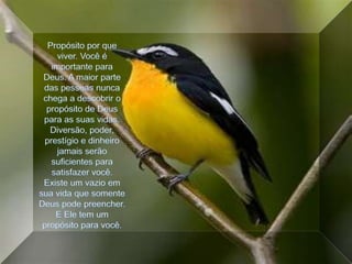 Propósito por que viver. Você é importante para Deus. A maior parte das pessoas nunca chega a descobrir o propósito de Deus para as suas vidas.Diversão, poder, prestígio e dinheiro jamais serão suficientes para satisfazer você. Existe um vazio em sua vida que somente Deus pode preencher. E Ele tem um propósito para você.
