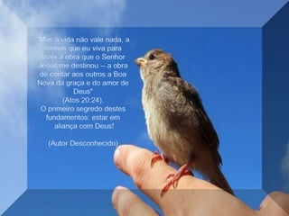 "Mas a vida não vale nada, a menos que eu viva para fazer a obra que o Senhor Jesus me destinou -- a obra de contar aos outros a Boa Nova da graça e do amor de Deus" (Atos 20:24).O primeiro segredo destes fundamentos: estar em aliança com Deus!(Autor Desconhecido)