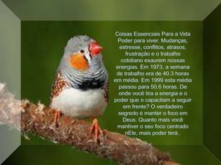 Coisas Essenciais Para a VidaPoder para viver. Mudanças, estresse, conflitos, atrasos, frustração e o trabalho cotidiano exaurem nossas energias. Em 1973, a semana de trabalho era de 40.3 horas em média. Em 1999 esta média passou para 50.6 horas. De onde você tira a energia e o poder que o capacitam a seguir em frente? O verdadeiro segredo é manter o foco em Deus. Quanto mais você mantiver o seu foco centrado nEle, mais poder terá.. 