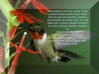 Necessitamos uns dos outros. "Duas pessoas juntas podem lucrar muito mais do que uma sozinha, porque o seu trabalho vai render mais. Se uma delas cair, a outra a ajuda a levantar-se; mas o homem sozinho, quando cai, está em má situação“(Eclesiastes 4:9-10).Princípios pelos quais viver. Se você não defender alguma coisa, cairá por qualquer coisa.