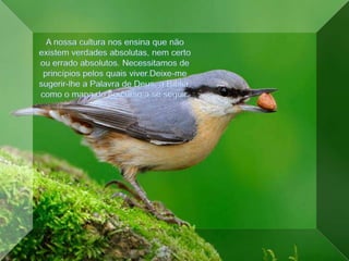 A nossa cultura nos ensina que não existem verdades absolutas, nem certo ou errado absolutos. Necessitamos de princípios pelos quais viver.Deixe-me sugerir-lhe a Palavra de Deus, a Bíblia, como o mapa do percurso a se seguir. 