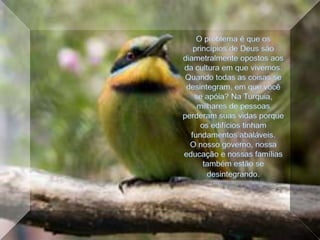 O problema é que os princípios de Deus são diametralmente opostos aos da cultura em que vivemos. Quando todas as coisas se desintegram, em que você se apóia? Na Turquia, milhares de pessoas perderam suas vidas porque os edifícios tinham fundamentos abaláveis.O nosso governo, nossa educação e nossas famílias também estão se desintegrando. 