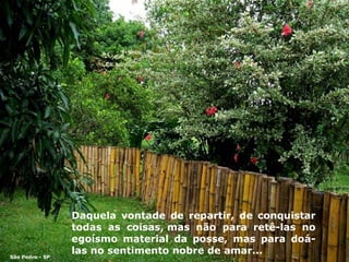 Daquela vontade de repartir, de conquistar todas as coisas, mas não para retê-las no egoísmo material da posse, mas para doá-las no sentimento nobre de amar... São Pedro - SP 