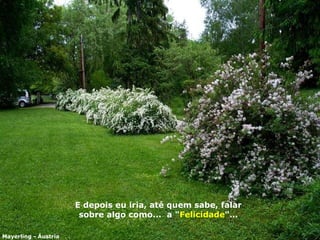 E depois eu i ri a ,  até quem sabe, falar sobre algo como...  a " Felicidade "… Mayerling - Áustria 