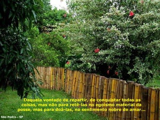   Daquela vontade de repartir, de conquistar todas as coisas, mas não para retê-las no egoísmo material da posse, mas para doá-las ,  no sentimento nobre de amar... São Pedro - SP 