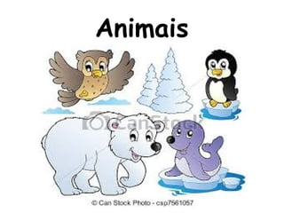 Animais
 