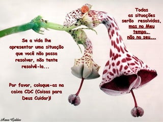 Se a vida lhe apresentar uma situação que você não possa resolver, não tente resolvê-la...  Por favor, coloque-as na caixa CDC (Coisas para Deus Cuidar)! Todas as situações serão  resolvidas,  mas no Meu tempo,  não no seu... 