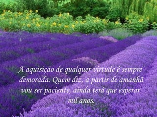A aquisição de qualquer virtude é sempre
demorada. Quem diz, a partir de amanhã
vou ser paciente, ainda terá que esperar
                mil anos.
 