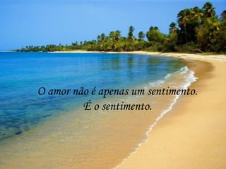 O amor não é apenas um sentimento.
         É o sentimento.
 