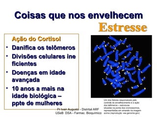 Coisas que nos envelhecem

    Ação do Cortisol
•   Danifica os telômeros
•   Divisões celulares ine
    ficientes
•   Doenças em idade
    avançada
•   10 anos a mais na
    idade biológica –
                                                       Um dos fatores responsáveis pelo
    ppte de mulheres                                   controle do envelhecimento é a ação
                                                       dos telômeros – estruturas
                                                       situadas na ponta dos cromossomos,
                    Pr Ivair Augusto - Distrital ARF   representadas em amarelo na imagem
                   USeB DSA - Farmac. Bioquímico       acima (reprodução: ww.genome.gov)
 