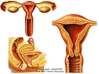 Pr Ivair Augusto - Distrital ARF
USeB DSA - Farmac. Bioquímico
 