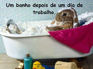 Um banho depois de um dia de trabalho. http://www.sitecuriosidades.com.br 