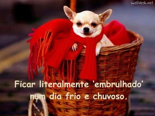 Ficar literalmente ‘embrulhado’ num dia frio e chuvoso. http://www.sitecuriosidades.com.br 