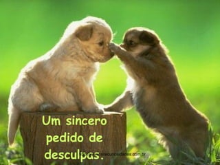 Um sincero pedido de desculpas. http://www.sitecuriosidades.com.br 