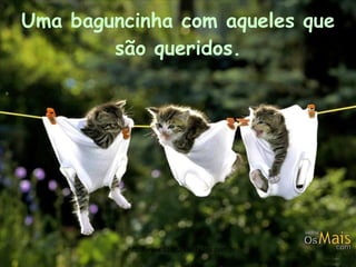 Uma baguncinha com aqueles que são queridos. http://www.sitecuriosidades.com.br 