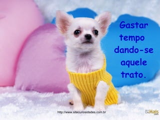 Gastar tempo  dando-se aquele trato. http://www.sitecuriosidades.com.br 