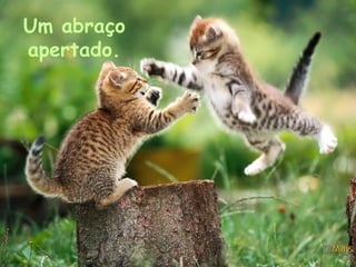 Um abraço
apertado.

 