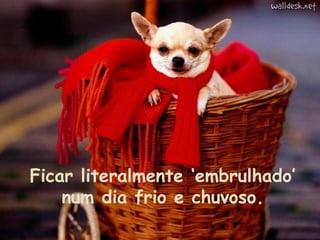Ficar literalmente ‘embrulhado’
num dia frio e chuvoso.

 