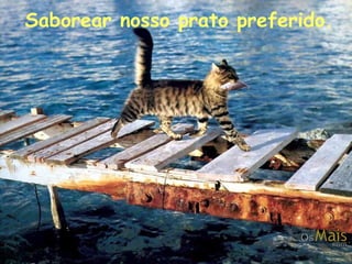 Saborear nosso prato preferido.

 