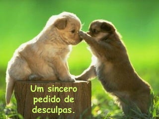 Um sincero
pedido de
desculpas.

 